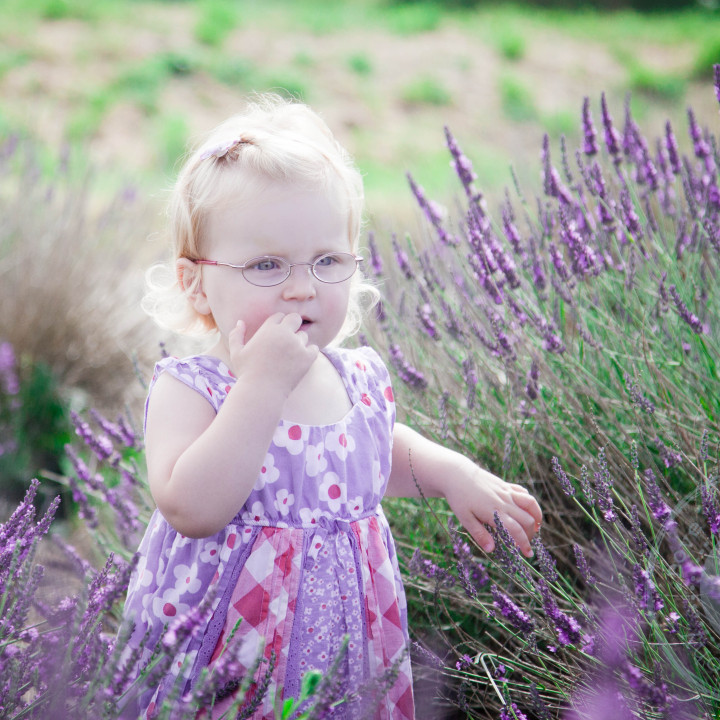 Lavender and Raspberries, Featured Portrait Session, Hampshire.