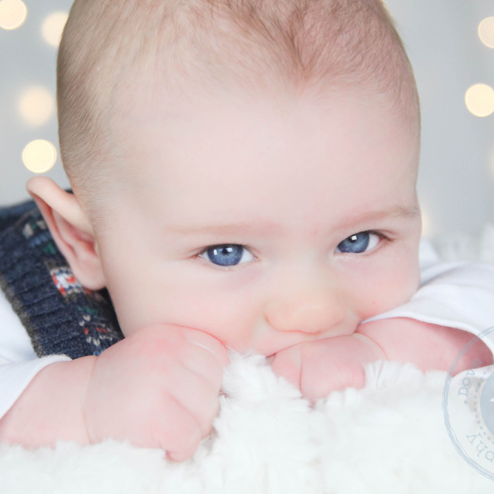 Arlo's Christmas Mini Session.