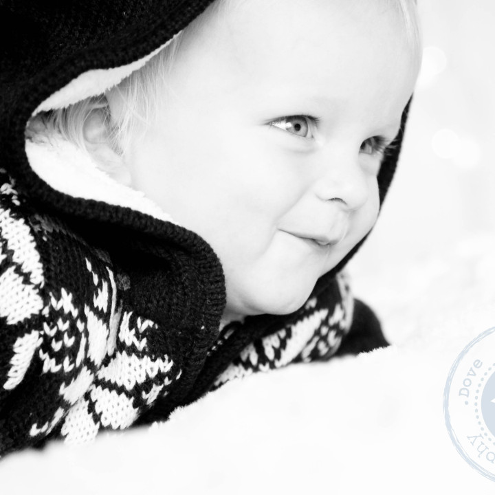 Charlie's Christmas Mini Session