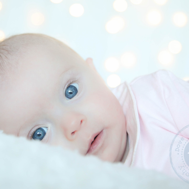 Faith's Christmas Mini Session - 