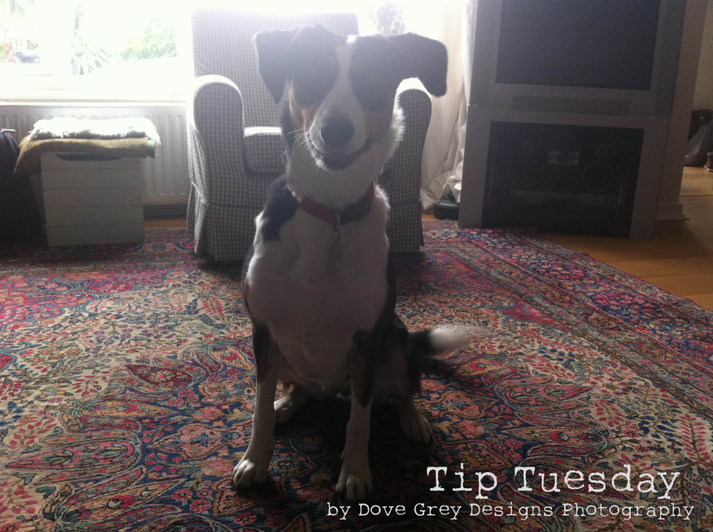 Tip tuesday (14)