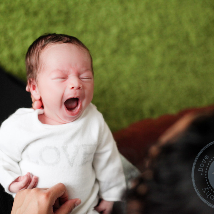 Levi's Newborn at Home - Lifestyle Session