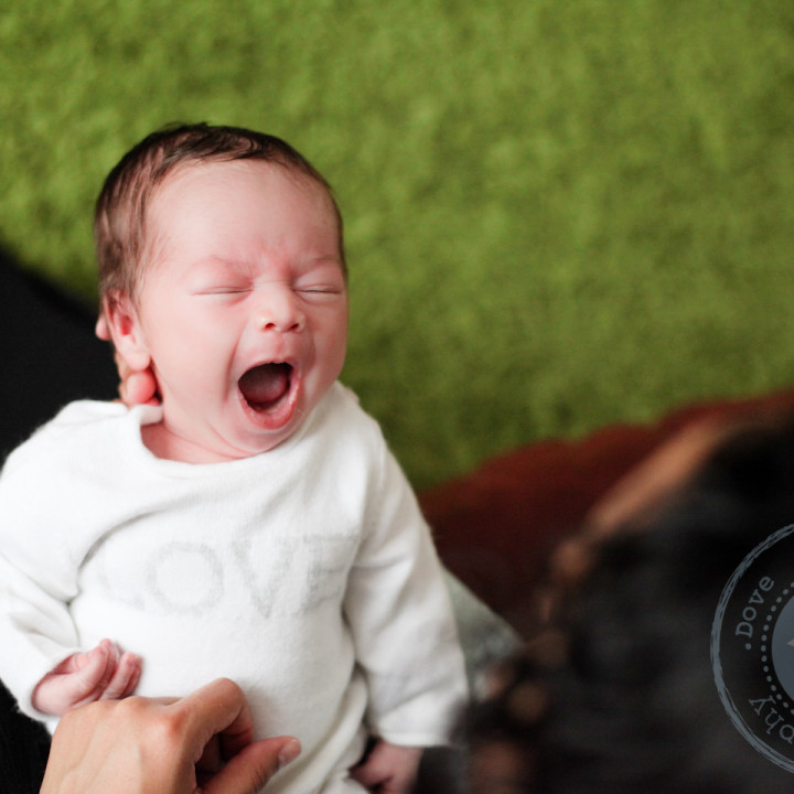 Levi's New Born at Home Session - Hampshire Portrait Photography