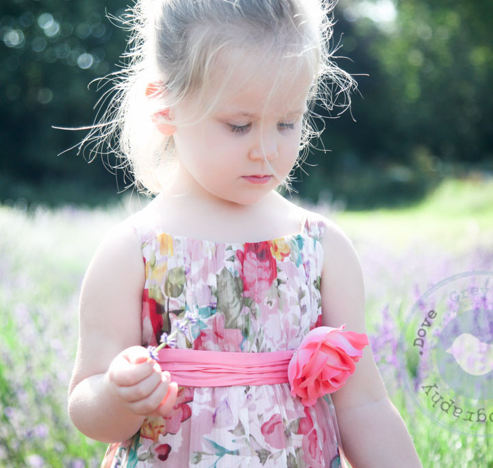 Grace and Alex's Lavender Portrait Session - Winchester