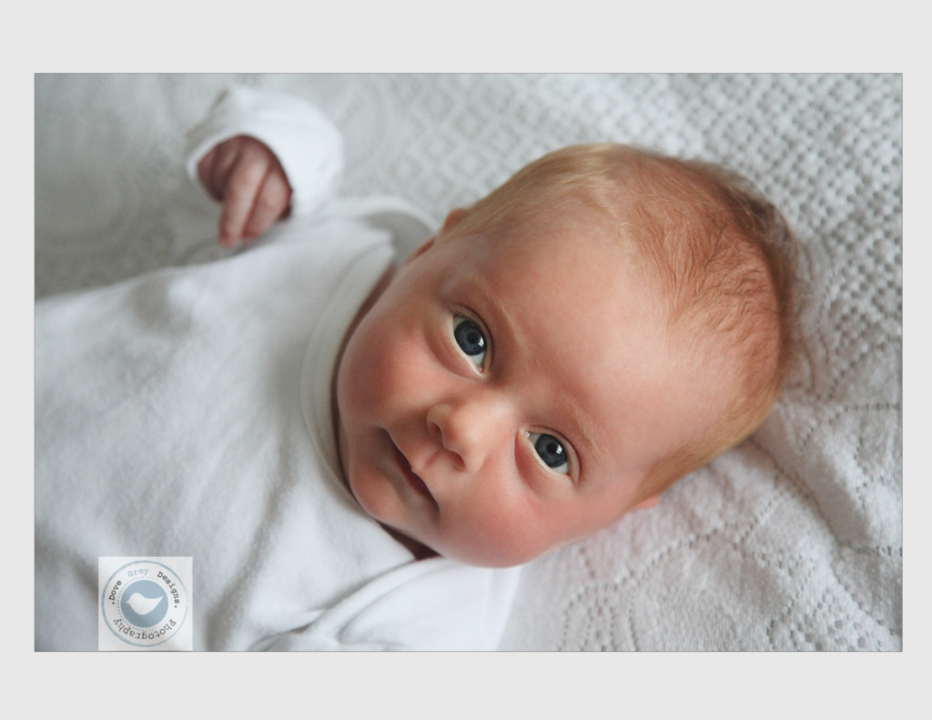 Newborn at Home Photoshoot Hampshire.Petersfield baby photoshoot (27)